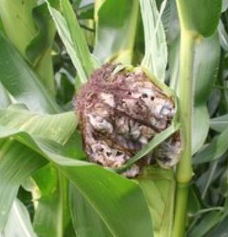 8ad51b6fef70252fa7bdca8367a2643.jpg 8ad51b6fef70252fa7bdca8367a2643.jpg