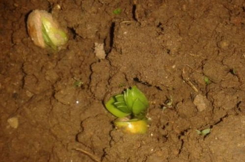 3cdb7ce05246289c.jpg 3cdb7ce05246289c.jpg