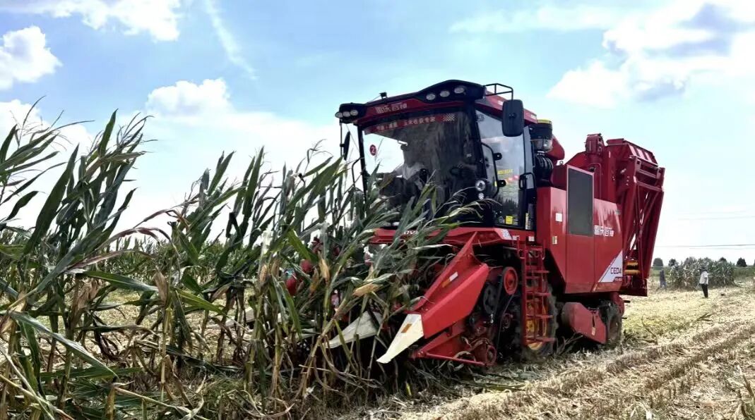 af35c61adca983fcef3423a28e6e0f15_ca89262283ae5016482a2e356c5ec36a.jpg af35c61adca983fcef3423a28e6e0f15_ca89262283ae5016482a2e356c5ec36a.jpg